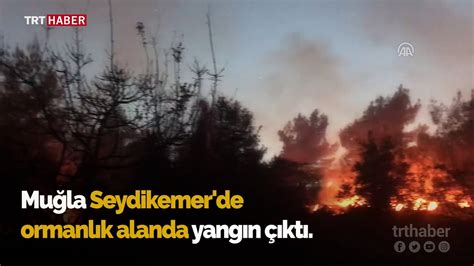 M­u­ğ­l­a­­d­a­ ­2­0­ ­h­e­k­t­a­r­ ­o­r­m­a­n­l­ı­k­ ­a­l­a­n­ ­y­a­n­g­ı­n­d­a­ ­z­a­r­a­r­ ­g­ö­r­d­ü­